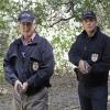 NCIS