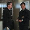 NCIS