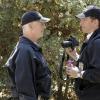 NCIS