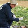 NCIS