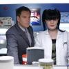 NCIS