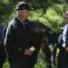 "Beastmaster" -- After a Marine Sergeant is found murdered in a National Park, Gibbs and the NCIS team partner with Mounted Police Sergeant May Dawson (Elisabeth RÃÂ¶hm) to solve a string of related crimes in the park, on NCIS, Tuesday, May 2 (8:00-9:00 PM, ET/PT) on the CBS Television Network. Pictured: Mark Harmon, Elisabeth RÃÂ¶hm.  Photo: Michael Yarish/CBS ÃÂ©2017 CBS Broadcasting, Inc. All Rights Reserved