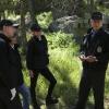 "Beastmaster" -- After a Marine Sergeant is found murdered in a National Park, Gibbs and the NCIS team partner with Mounted Police Sergeant May Dawson (Elisabeth RÃÂ¶hm) to solve a string of related crimes in the park, on NCIS, Tuesday, May 2 (8:00-9:00 PM, ET/PT) on the CBS Television Network. Pictured: Sean Murray, Jennifer Esposito, Emily Wickersham, Mark Harmon, Wilmer Valderrama.    Photo: Michael Yarish/CBS ÃÂ©2017 CBS Broadcasting, Inc. All Rights Reserved