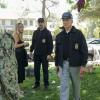 "Boom" -- One of the NCIS agents is starstruck after the team investigates an explosion outside the home of Navy Petty Officer First Class Todd Nicholas (Cameron Radice) and his wife, popular reality TV star Sheba Nicholas (Tara Holt). Also, Vance continues physical therapy for the injuries sustained when he was held hostage, on NCIS, Tuesday, Oct. 9 (8:00-9:00 PM, ET/PT) on the CBS Television Network.  Pictured: Cameron Radice, Tara Holt, Sean Murray,  Mark Harmon.  Photo: Sonja Flemming/CBS ÃÂ©2018 CBS Broadcasting, Inc. All Rights Reserved
