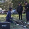 ÃÂ¢Ã¢ÂÂ¬ÃÂFriendly FireÃÂ¢Ã¢ÂÂ¬ÃÂ ÃÂ¢Ã¢ÂÂ¬" McGee and Bishop travel to Afghanistan after a murder case in the states is linked to a string of soldiers killed by friendly fire overseas. Also, Kasie leaves the lab and accompanies Torres into the field to process additional forensic evidence, on NCIS, Tuesday, Nov. 20 (8:00-9:00 PM, ET/PT) on the CBS Television Network. Pictured: David McCallum (in background), Sean Murray, Mark Harmon, Brian Dietzen.  Photo: Sonja Flemming/CBS ÃÂÃÂ©2018 CBS Broadcasting, Inc. All Rights Reserved