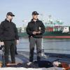 "Crossing the Line" -- The NCIS team investigates a man overboard fatality from a Navy destroyer at sea. Also, Torres is frustrated with Vance\'s assignment to mentor three high school students, on NCIS, Tuesday, Feb. 26 (8:00-9:00 PM, ET/PT) on the CBS Television Network. Pictured: Sean Murray, Mark Harmon, Brian Dietzen Photo: Cliff Lipson/CBS ÃÂ©2019 CBS Broadcasting, Inc. All Rights Reserved