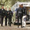 NCIS