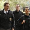 episode-8.23-swan-song