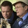 NCIS