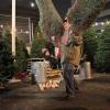 NEW GIRL:  In a flashback, Schmidt (Max Greenfield, R) and Nick (Jake Johnson, L) sell Christmas trees in the &quot;Stuck in the Bar&quot; episode of NEW GIRL airing Tuesday, Jan. 7 (9:00-9:30 PM ET/PT) on FOX.  &#xa9;2013 Fox Broadcasting Co.  Cr:  Adam Taylor/FOX