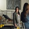 Pretty Little Liars - Episode 4.02 - Turn of the Shoe - Promotional Photos (12)