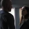 PRISON BREAK: L-R: Dominic Purcell and Sarah Wayne Callies in the all-new “Ogygia” event series premiere episode of PRISON BREAK airing Tuesday, April 4 (9:00-10:00 PM ET/PT), on FOX.  CR: FOX. © 2017 FOX Broadcasting Co.