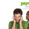 psych_wallpaper_1024x768_02