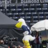 001_dule-hill-as-santa-barbara-seabirds-mascot-sammy-for-psych-filming-in-nat-bailey-stadium-in-vancouve