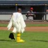 001_santa-barbara-seabirds-mascot-stunt-double-filming-psych-in-nat-bailey-stadium-in-vancouver-by-susan