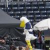 002_dule-hill-as-santa-barbara-seabirds-mascot-sammy-for-psych-filming-in-nat-bailey-stadium-in-vancouve