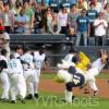 santa-barbara-seabirds-mascot-stunt-double-takes-out-a-ball-player-for-psych-filming-in-nat-bailey-s