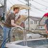 SHAMELESS (Season 2)