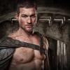 Spartacus 2010 Gallery