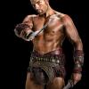 Spartacus Vengeance
