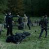 large-fullsize-sgu0217-0092xe