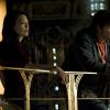 large-fullsize-sgu0219-0299xe