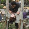 Suburgatory_Season_1_Episode_5_Halloween_5-5089-590-700-80