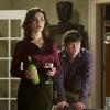 The Good Wife