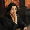 The Good Wife