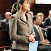 The Good Wife