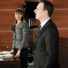 The Good Wife