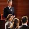 The Good Wife
