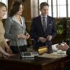 The Good Wife