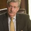 The Good Wife