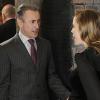 The Good Wife