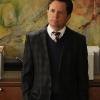 The Good Wife