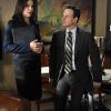 THE GOOD WIFE