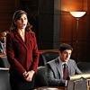 The Good Wife