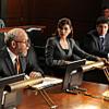The Good Wife