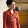 The_Good_Wife_Season_3_Episode_16_After_The_Fall_2-7555-800-600-80