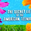 the-secret-life-of-an-american-teenager