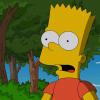 01064008_bart