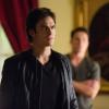 THE VAMPIRE DIARIES