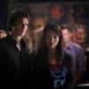 THE VAMPIRE DIARIES