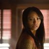 THE VAMPIRE DIARIES