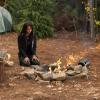 The Vampire Diaries - Episode 4.13 - Into the Wild - Full Set of Promotional Photos (2)