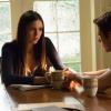 THE VAMPIRE DIARIES