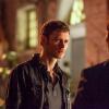 THE VAMPIRE DIARIES