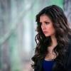 THE VAMPIRE DIARIES