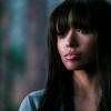 THE VAMPIRE DIARIES